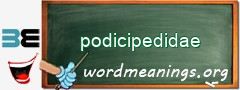 WordMeaning blackboard for podicipedidae